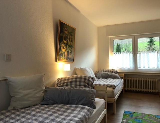 Ferienwohnung Paeusken Im Hochsauerland- E- Bike Und Auto Laden Moeglich Bestwig Dış mekan fotoğraf